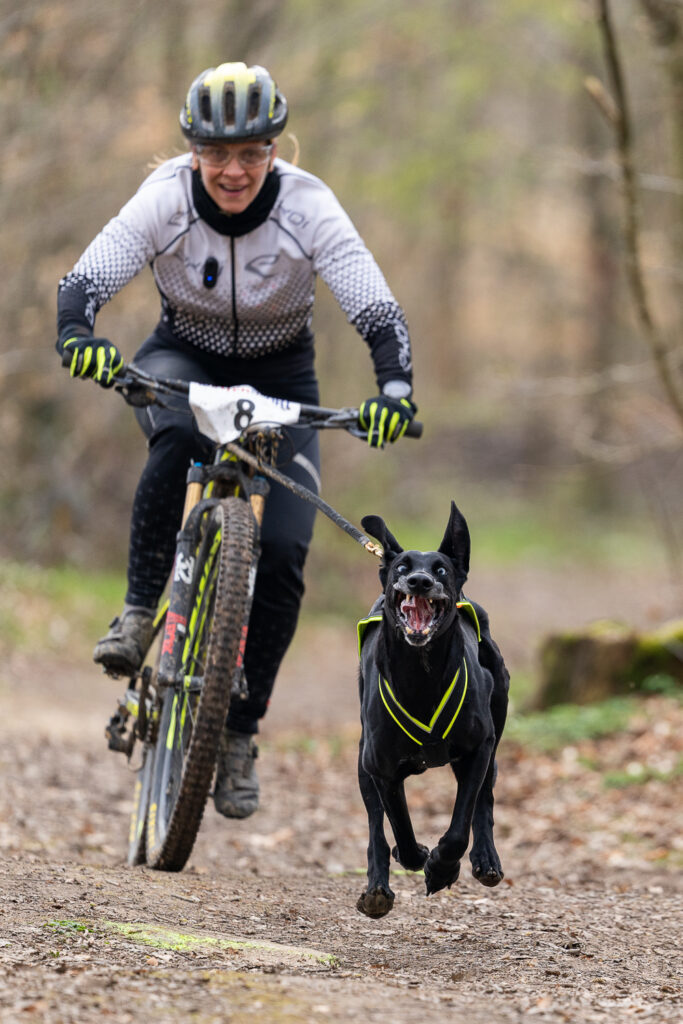 Sport Canicross Lunéville