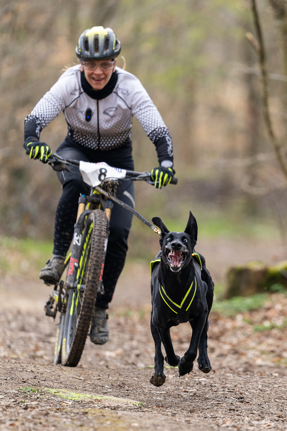 Sport Canicross Lunéville