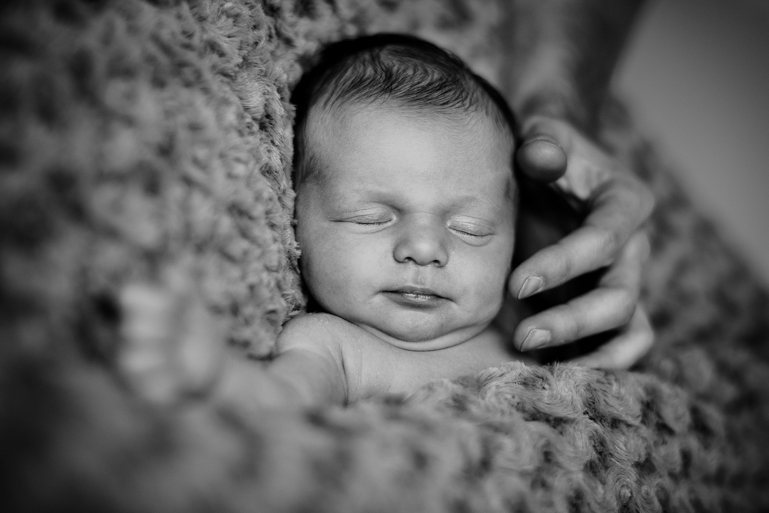 Photographe bébé famille Nancy Lorraine